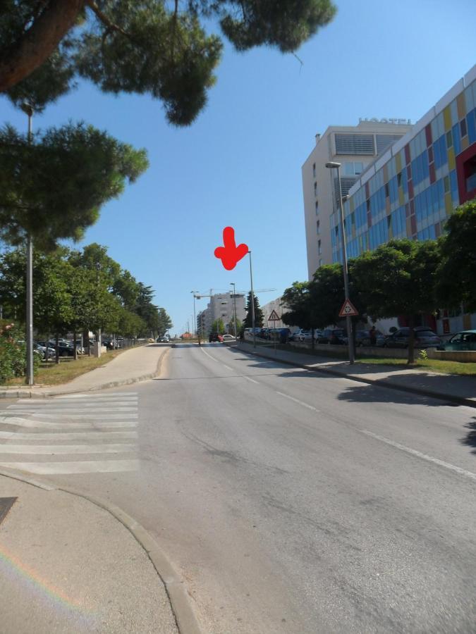 Pavo Zadar